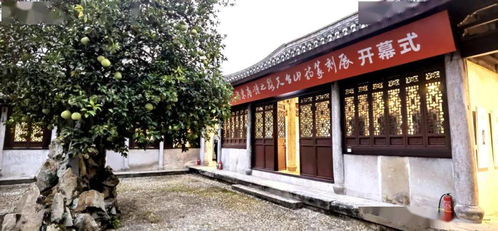 展讯┃ 浙东唐诗之路天台山诗孙新龙篆刻展 在天台县文化馆开展 一起来感受方寸镂石的自然诗韵