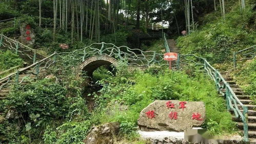 春风十里,花开正好,到塔石体验乡村野趣