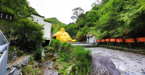 各位亲,千岛湖给你发了份大礼包,请注意查收