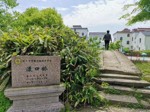 石门湾的美丽蝶变 一条精品线再现丰子恺笔下乡愁