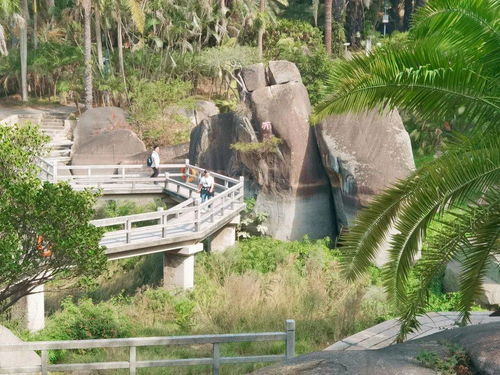 厦门这处景区拿到5a级景区创建 入场券 快来认识它