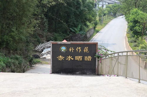 百岁老人的长寿秘诀 暴晒三年才出一坛的纯手工晒醋,每天一口,美容养颜 还能预防胃病