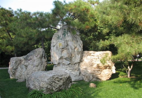 园林景观石,一石就是一景