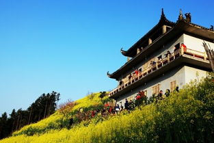 厦门大学嘉庚学院人文与传播学院