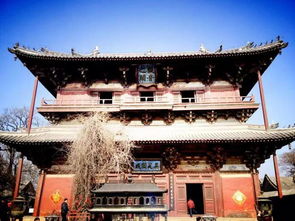 天津这下要在全国出名了