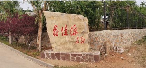 遵循 自然 原则,鑫鹿源打造可持续绿色农产品加速发展功能农业