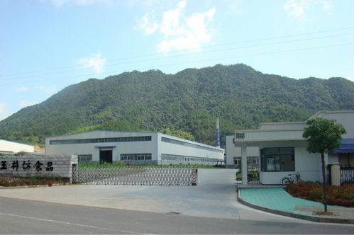 福建玉井坊食品