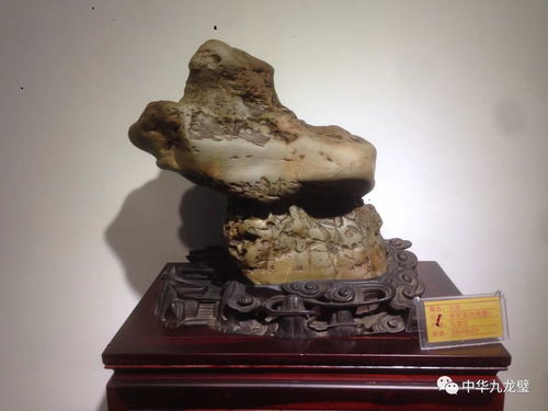 王天然的 东南花都天然奇石博物馆 收藏品 十六