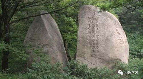 谁敢欺负石头 1