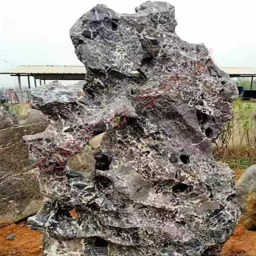 庭院正对门口可以弄个假山假山作用