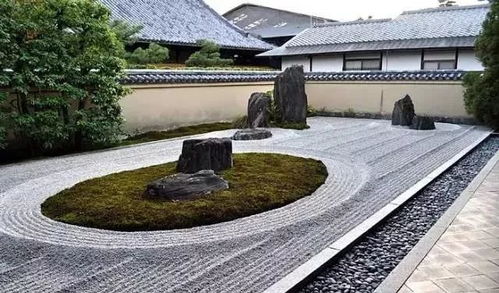 刘先银读 兰亭序 体悟智慧的最高境界是道德的心境