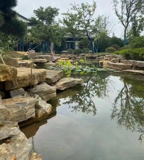 庭院假山首选石材 千层石,纹理古朴 雄浑自然 经济适用