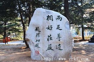 景观石 城市与乡村的文化符号