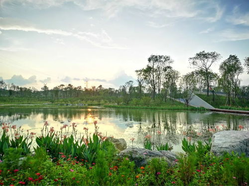 自然丨打卡玉石湿地公园 镶嵌在天府绿道上的美玉
