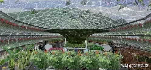 生态餐厅这么火 你知道生态餐厅怎么建才最吸引人吗