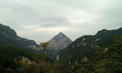 河南省有哪些4a景区最有可能升为5a 2 王屋