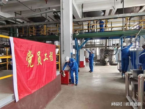 吉林石化化肥厂 三个在现场 开展 主题党日 活动
