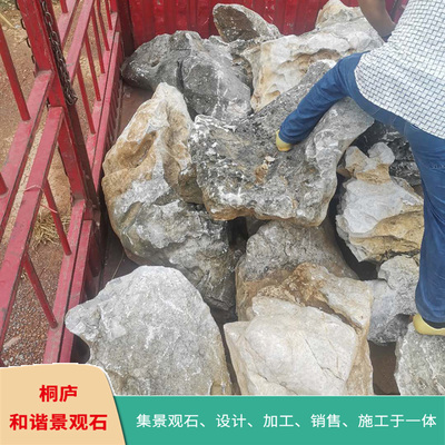 天然景观石太湖石园林假山石自然石